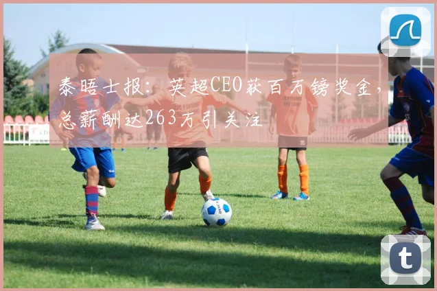 泰晤士报：英超CEO获百万镑奖金，总薪酬达263万引关注