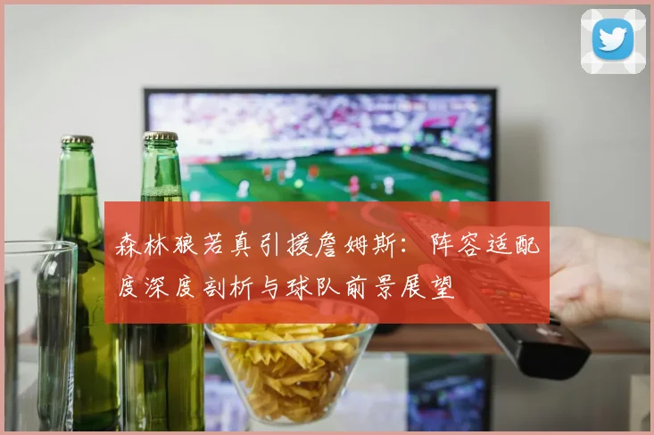 森林狼若真引援詹姆斯：阵容适配度深度剖析与球队前景展望